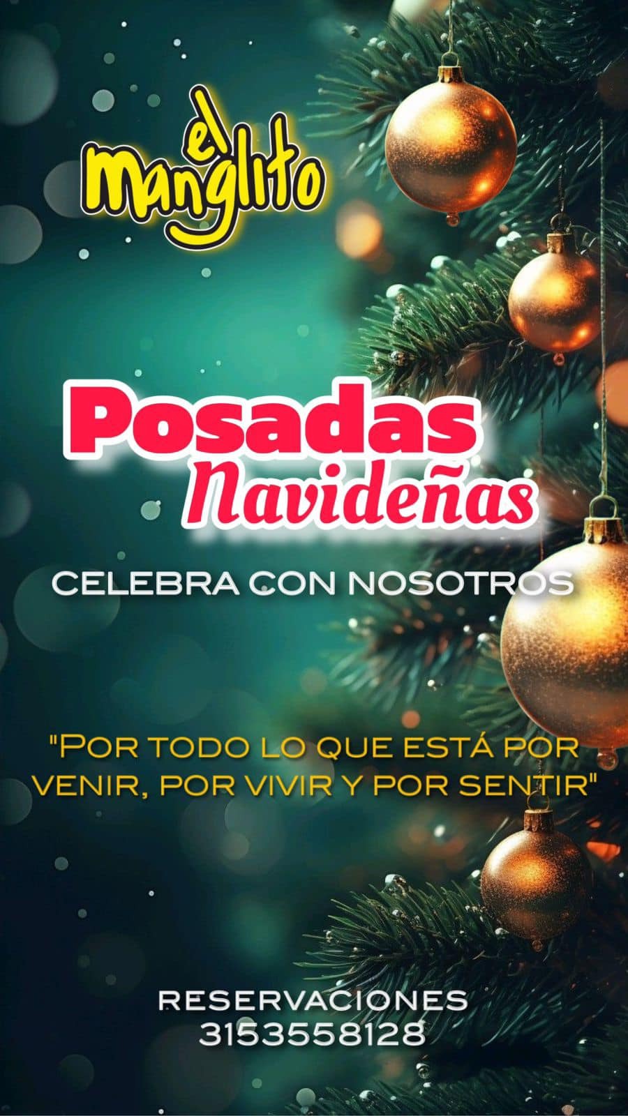 el manglito posadas navidenas