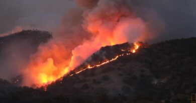 Prohíbe SEMADET Quemas Agrícolas en La Costa