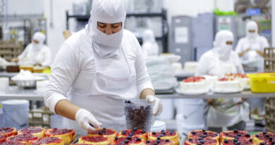 PV Será Sede del V Congreso Latinoamericano de Inocuidad Alimentaria PV Será Sede del V Congreso Latinoamericano de Inocuidad Alimentaria