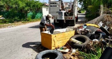 Fortalece SSJ acciones contra el dengue