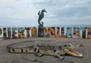 “Algo” Está Matando a Los Cocodrilos en Puerto Vallarta